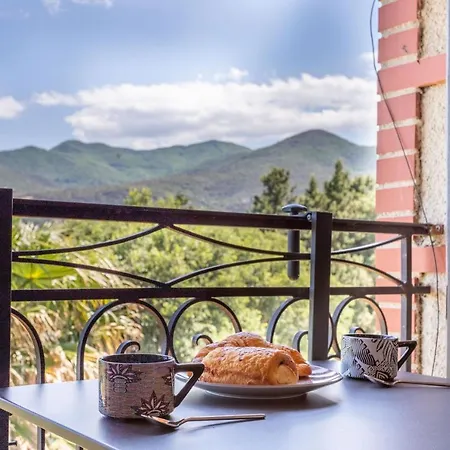 Vermeille Apartament Céret